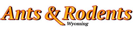 Wyoming Ant Exterminator & Rodent Control Company Logo